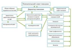 Информация о структуре и органах управления МОБУ гимназия №5
Директор: Суркова Наталья Борисовна
Тел.: (34768) 3-22-56
E-Mail: davlgim5@yandex.ru

Заместители директора: 
Ахмадеева Ирина Александровна основное и среднее общее образование 
Тел.: (34768) 3-20-89
E-Mail: davlgim5@yandex.ru

Прокудина Галина Викторовна  начальное общее образование
Тел.: (34768) 3-20-89
E-Mail:  davlgim5@yandex.ru

Филимонова Надежда Николаевна воспитательная работа
Тел.: (34768) 3-20-89
E-Mail:   davlgim5@yandex.ru

Аюпов Ильшат Ахтямович административно-хозяйственная работа 
Тел.: (34768) 2-20-89



Положение о методическом объединении 
Методическое объединение учителей русского языка, литературы–Ахмадеева Ирина Александровна - учитель русского языка и литературы высшей квалификационной категории. Методическое объединение учителей математики, физики, информатики, ИЗО – Арсланова Эльвира Варисовна - учитель физики высшей квалификационной категории. Методическое объединение учителей химии, биологии, географии – Парамонова Марина Александровна - учитель географии высшей квалификационной категории. Методическое объединение учителей технологии, физкультуры, ОБЖ и музыки – Хаматова Клара Маликовна - психолог высшей квалификационной категории. Методическое объединение учителей иностранных языков – Спивак Светлана Николаевна - учитель английского языка высшей квалификационной категории. Методическое объединение учителей начальных классов – Фролова Марина Александровна - учитель начальных классов высшей квалификационной категории. 

Совет профилактики безнадзорности и правонарушений несовершеннолетних – Суркова Наталья Борисовна – директор гимназии
Библиотека – Попова Наталья Юрьевна 
Профсоюзный комитет – Лабутина Аксана Валерьевна
Общественный наркологический пост – Ибрагимова Гульназ Альбертовна
Административно – хозяйственная часть – Аюпов Ильшат Ахтямович